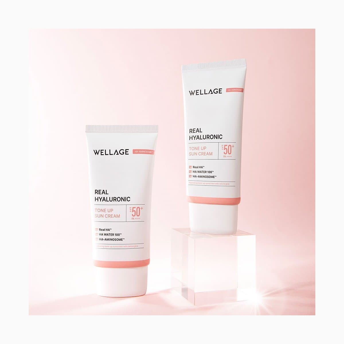 Wellage Real Hyaluronic Tone Up Suncream